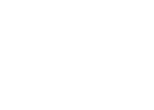 20i Logo